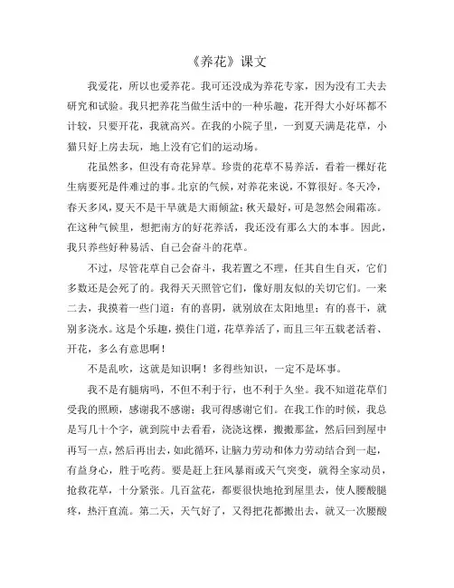 《养花》课文