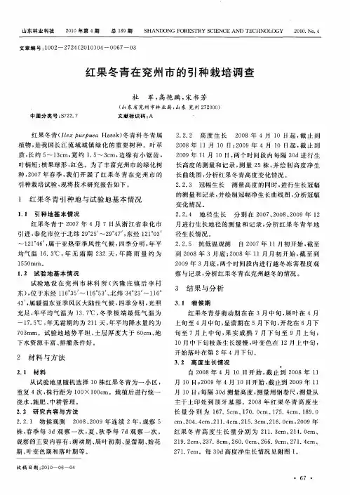 红果冬青在兖州市的引种栽培调查