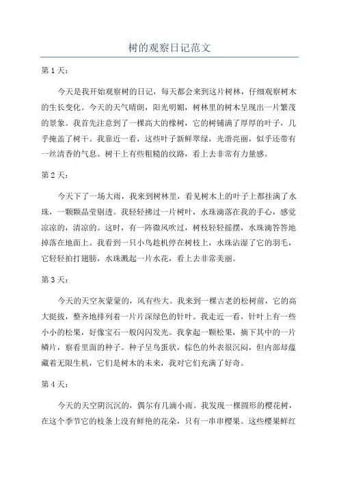 树的观察日记范文