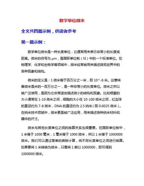 数学单位微米