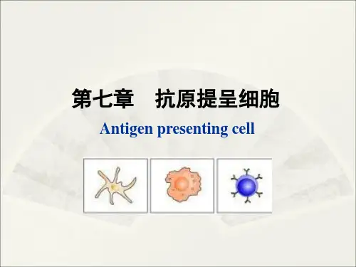 抗原提呈细胞