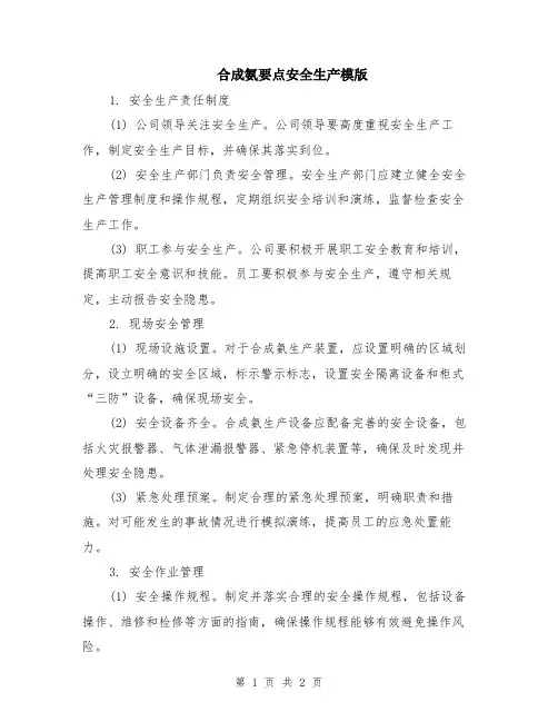 合成氨要点安全生产模版