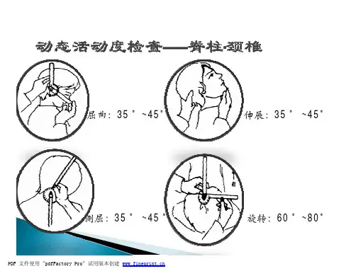 体态评估—1