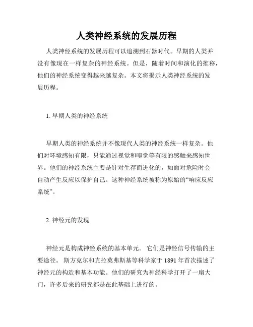 人类神经系统的发展历程