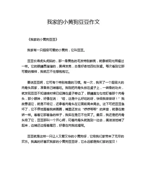 我家的小黄狗豆豆作文