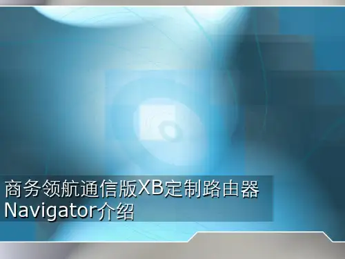 Cisco-NAV10-WF功能说明