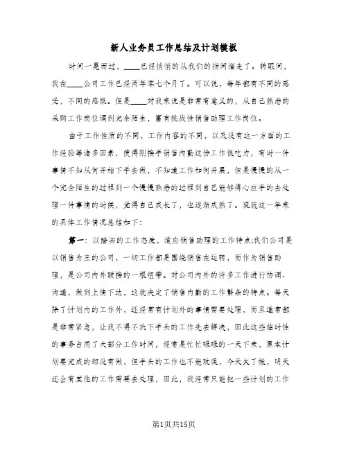 新人业务员工作总结及计划模板（5篇）