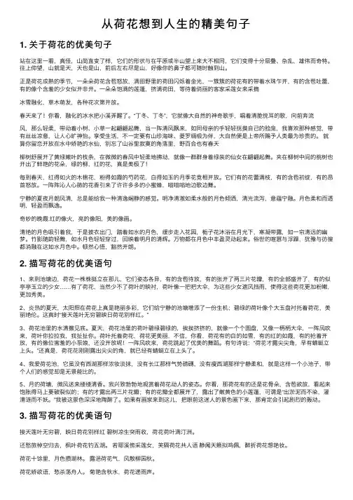 从荷花想到人生的精美句子