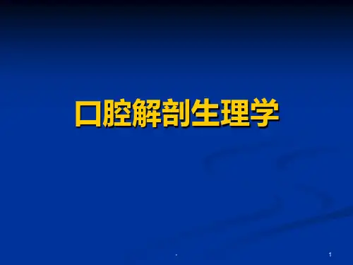 牙体解剖和髓腔解剖PPT课件