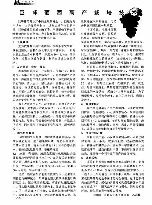 巨峰葡萄高产栽培技术