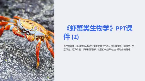 《虾蟹类生物学》课件 (2)