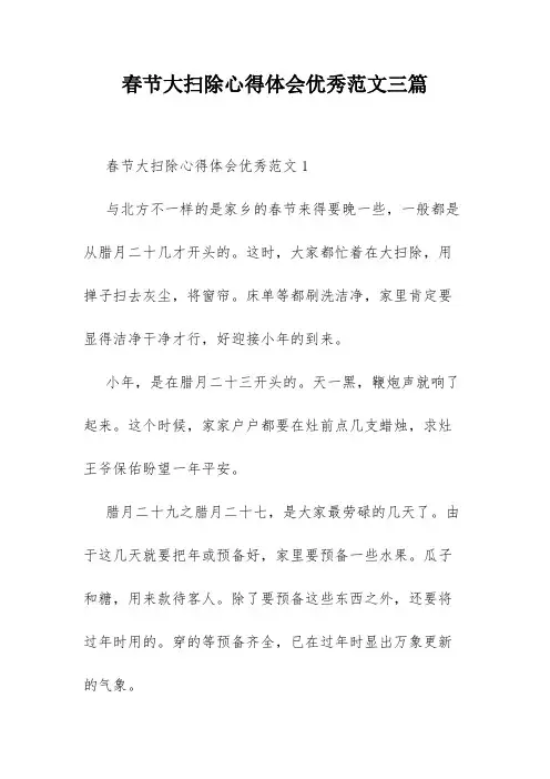 春节大扫除心得体会优秀范文三篇