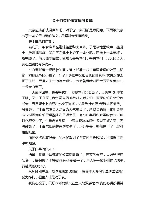 关于白菜的作文集锦5篇