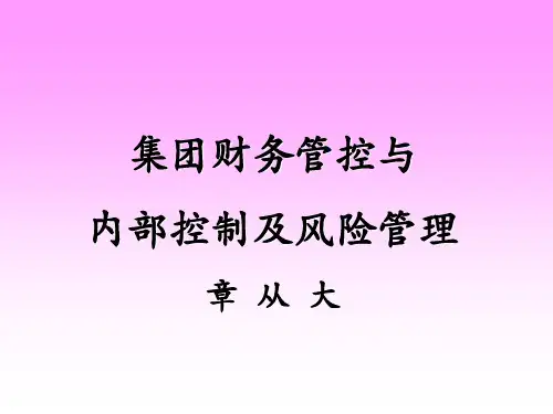 某集团财务管控与内部控制及风险管理(PPT 60页)