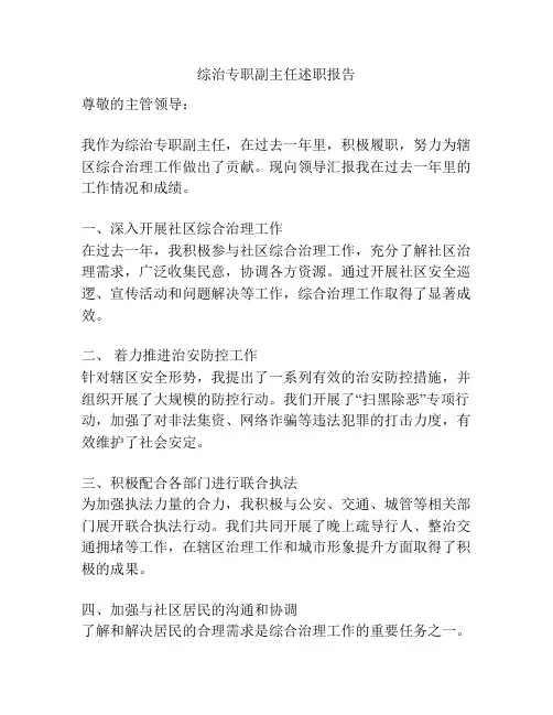 综治专职副主任述职报告