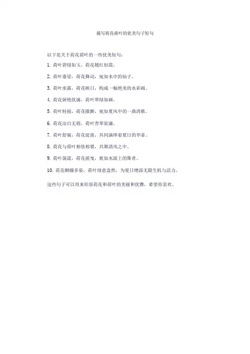 描写荷花荷叶的优美句子短句