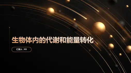 生物体内的代谢和能量转化