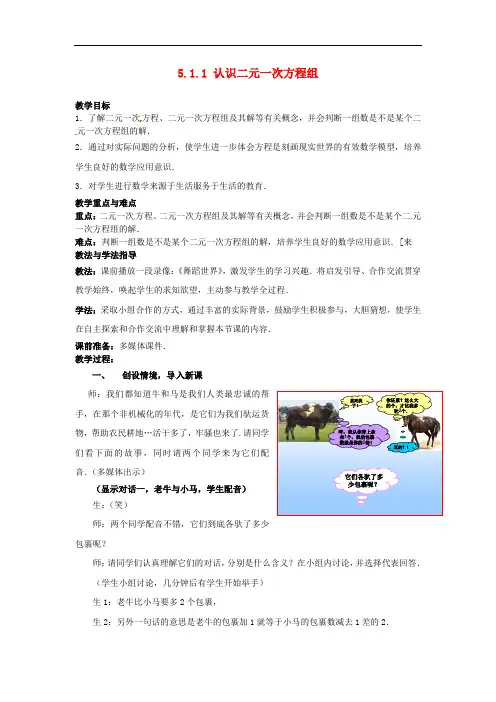 《认识二元一次方程组》word教案 (公开课获奖)2022北师版 (2)