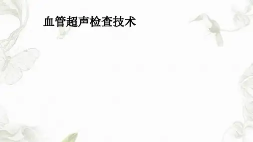 血管超声诊断ppt课件