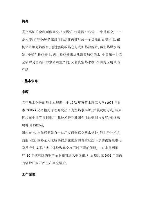 真空锅炉简介
