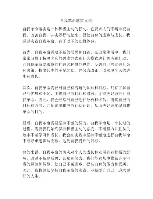 自我革命落实 心得