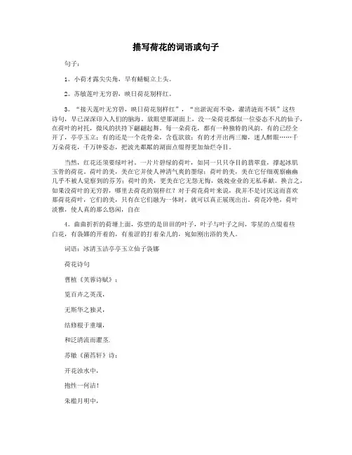 描写荷花的词语或句子