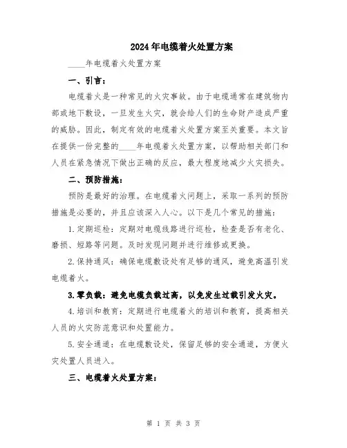2024年电缆着火处置方案