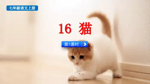 《猫》PPT精品课件(第1课时)