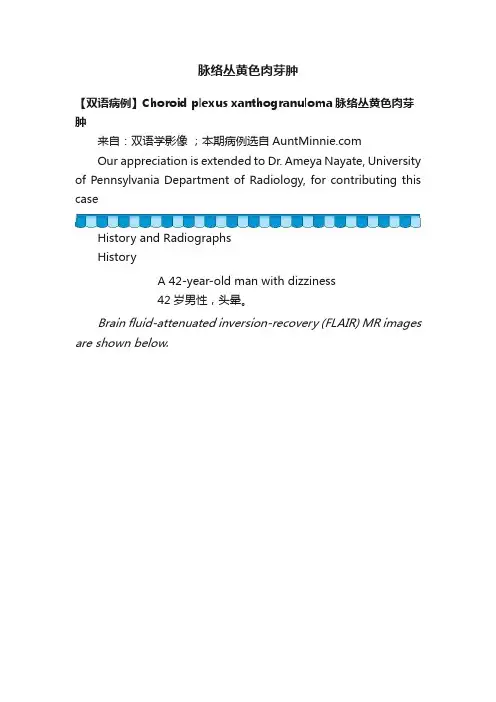 脉络丛黄色肉芽肿