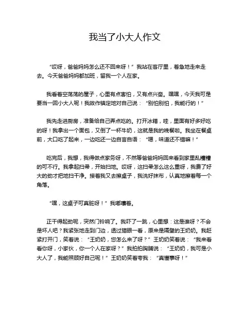 我当了小大人作文