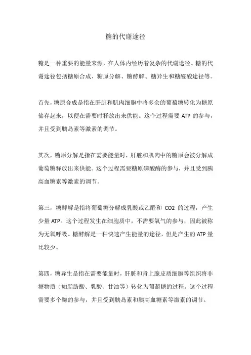糖的代谢途径