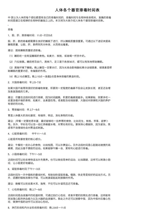 人体各个器官排毒时间表