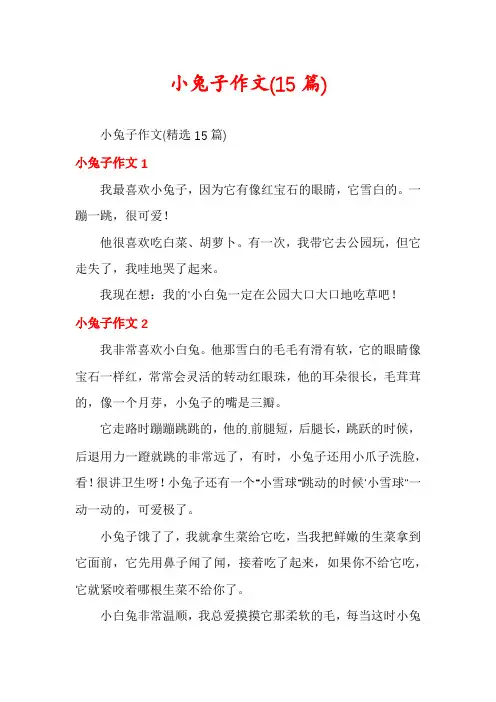 小兔子作文(15篇)