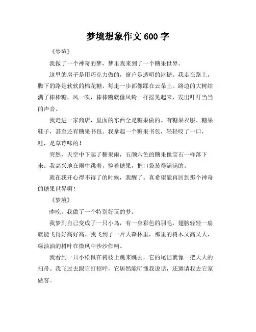 梦境想象作文600字