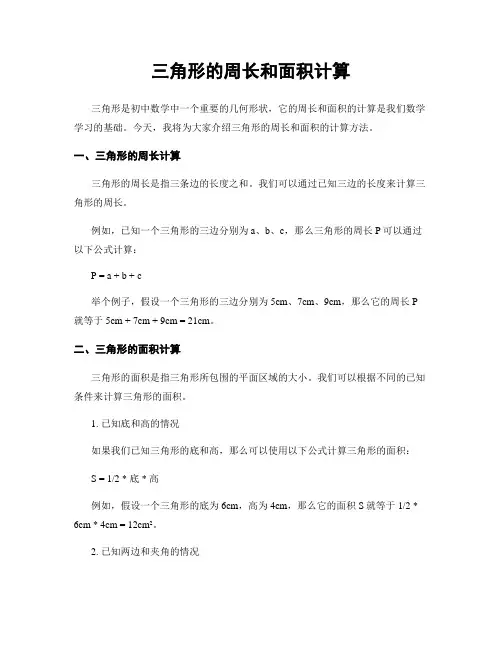 三角形的周长和面积计算
