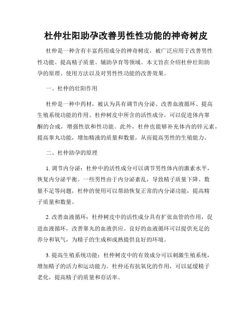 杜仲壮阳助孕改善男性性功能的神奇树皮