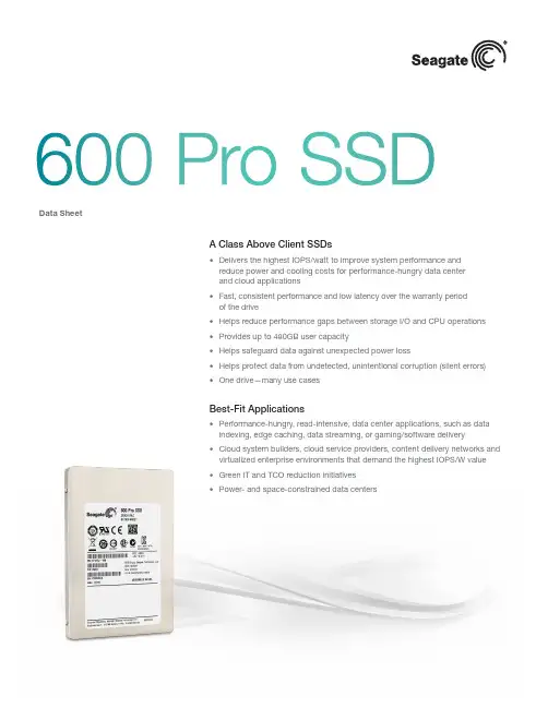Seagate 600 Pro SSD 商品说明书