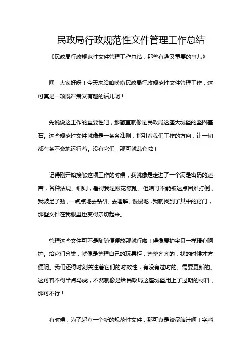 民政局行政规范性文件管理工作总结
