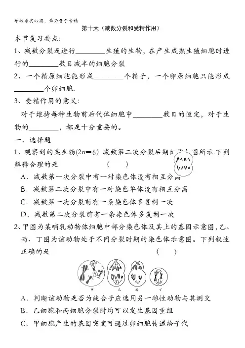 安徽省六安市舒城中学2016年高二生物暑假作业10 含答案