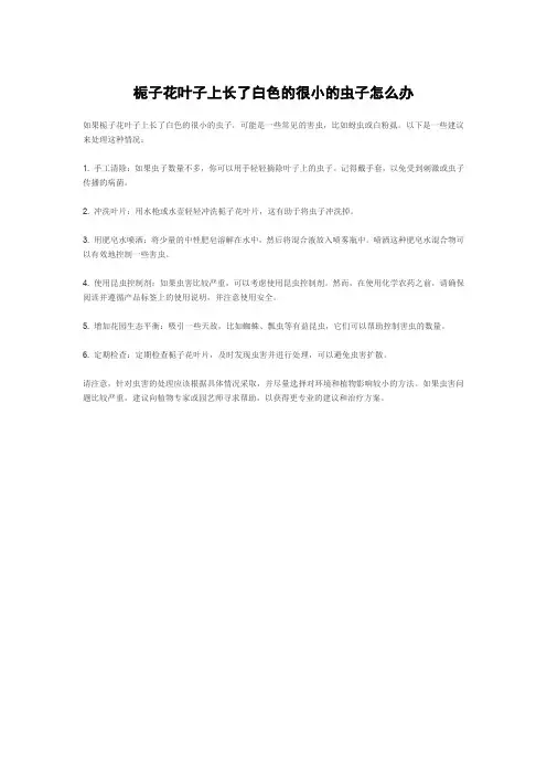 栀子花叶子上长了白色的很小的虫子怎么办
