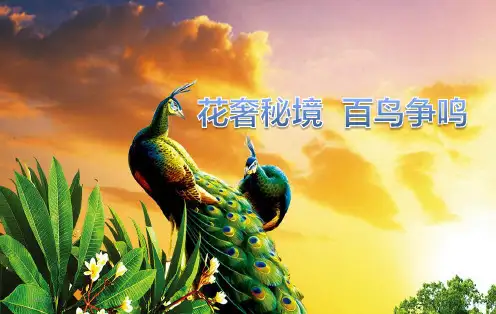 百鸟展 海洋展