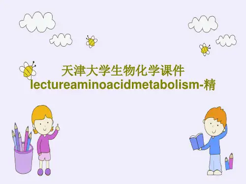 天津大学生物化学课件lectureaminoacidmetabolism-精PPT共70页