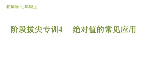 阶段拔尖专训4  绝对值的常见应用