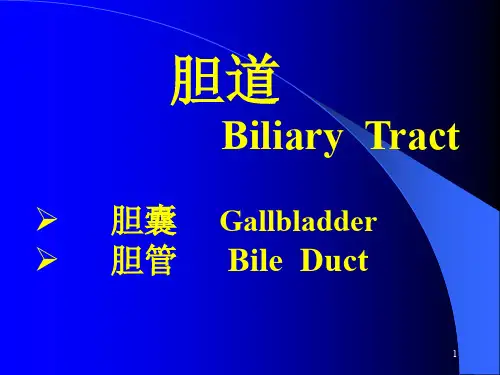 胆囊疾病的超声诊断ppt课件