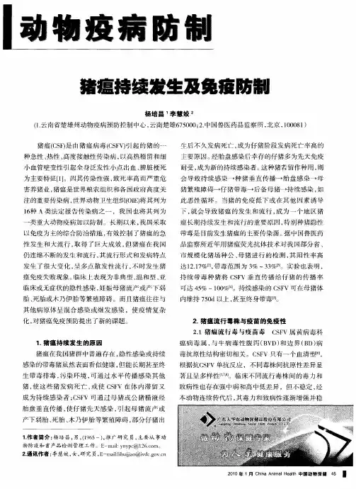 猪瘟持续发生及免疫防制