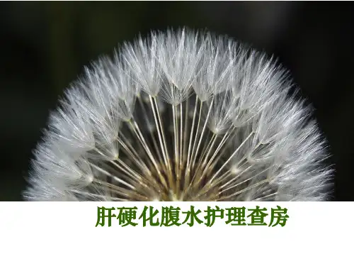 肝硬化腹水护理查房ppt课件