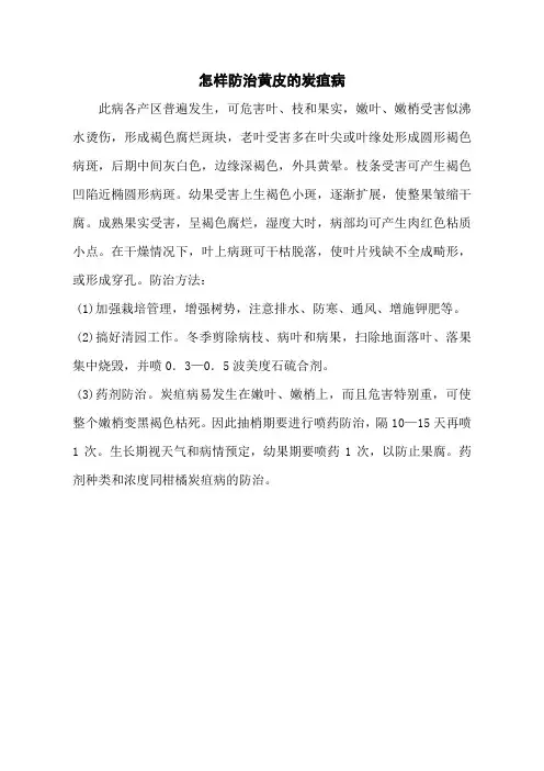 怎样防治黄皮的炭疽病