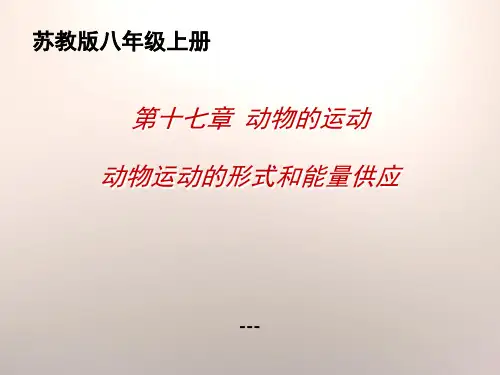 动物运动的形式和能量供应(共张PPT)-PPT课件 