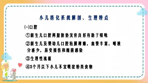 儿科消化系统疾病—儿童消化系统解剖生理特征(儿科学课件)