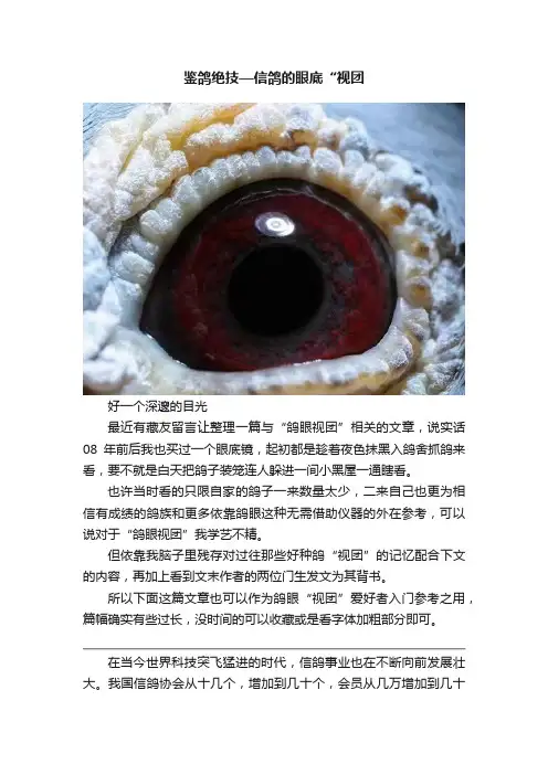 鉴鸽绝技—信鸽的眼底“视团